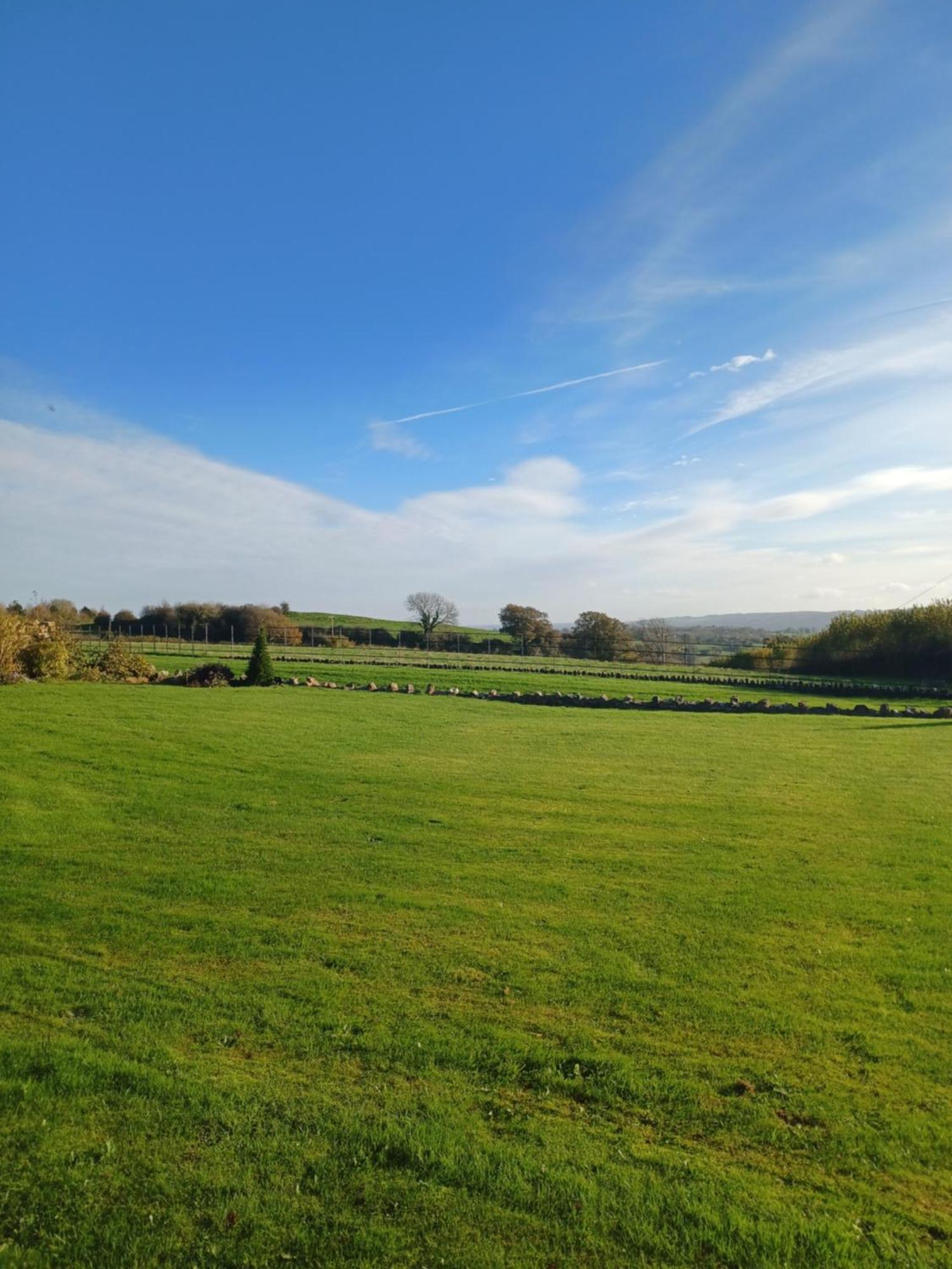 Rusling House Panzió Butcombe Kültér fotó
